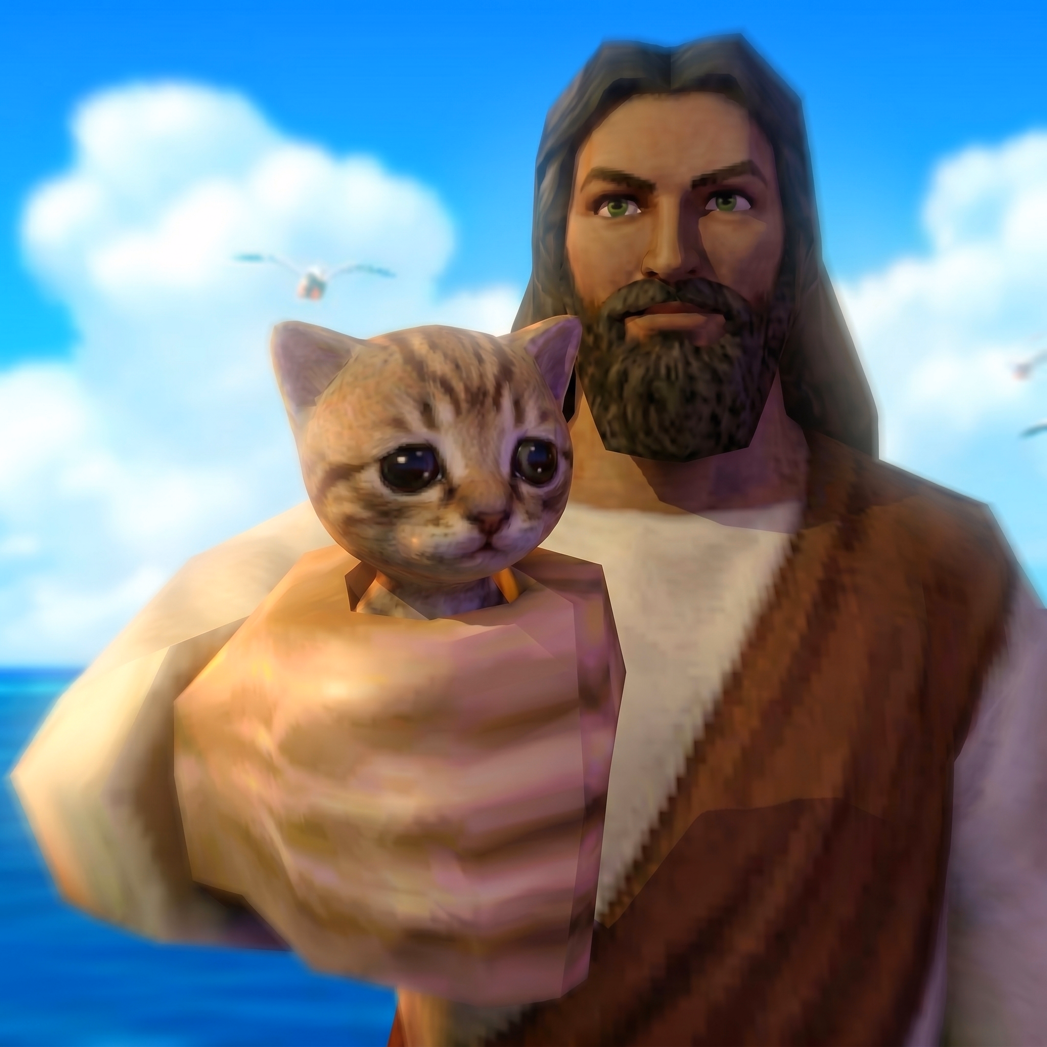 Meme 5